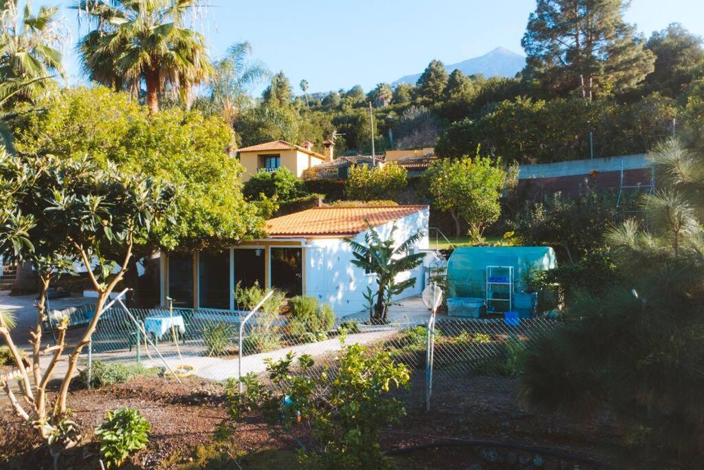Casita Gopal Villa Icod De Los Vinos Eksteriør billede